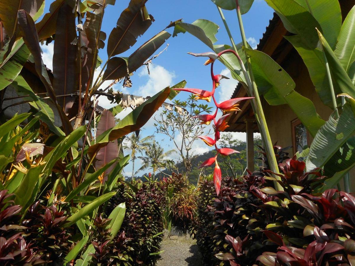 시데멘 The Bukit Artha B&B 외부 사진