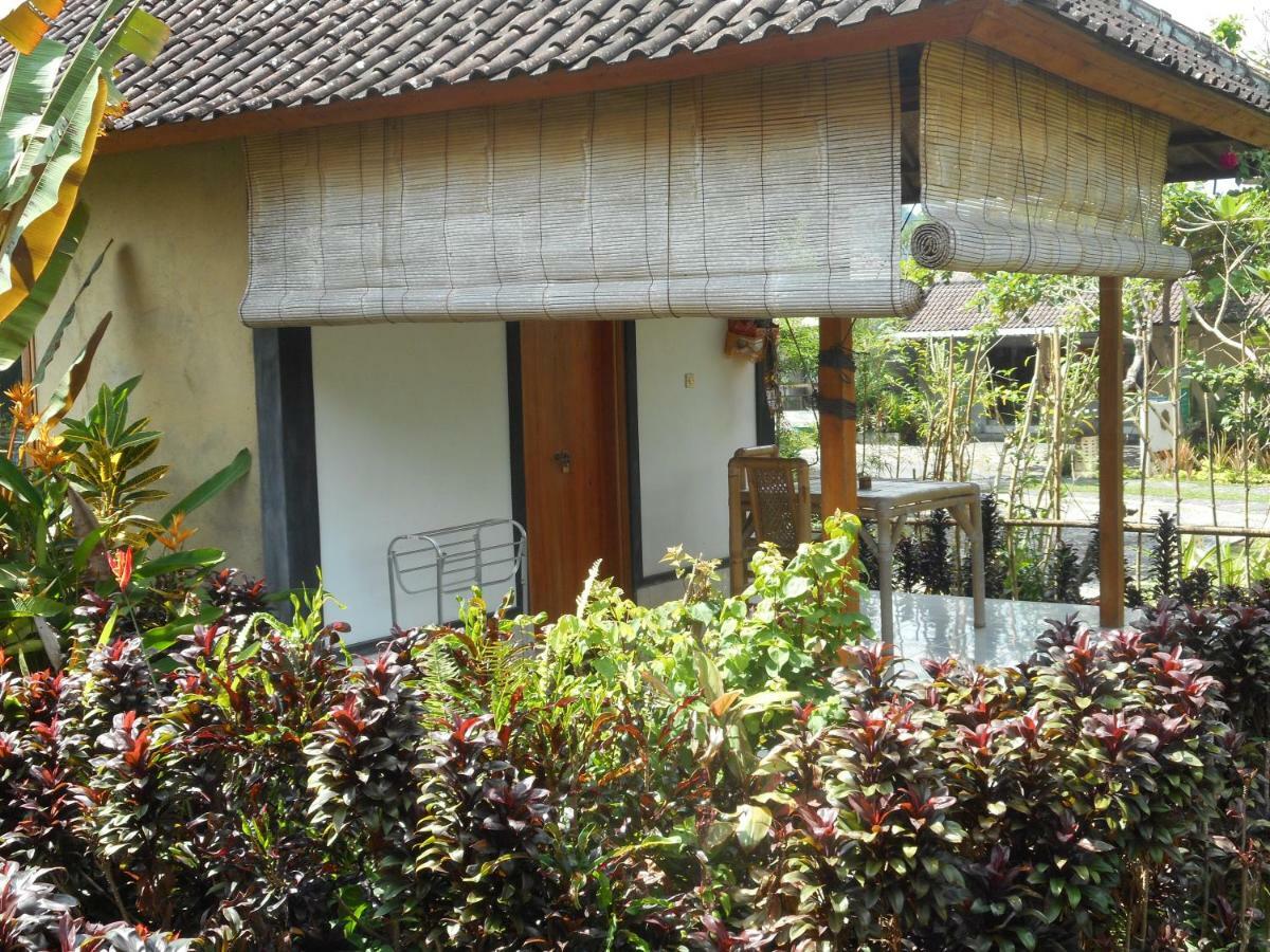 시데멘 The Bukit Artha B&B 외부 사진